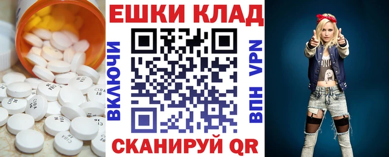 блэк спрут Чапаевск Экстази бентли