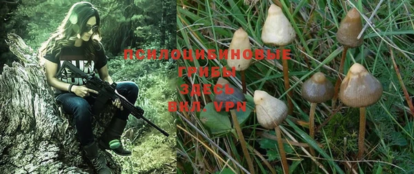 a pvp Баксан