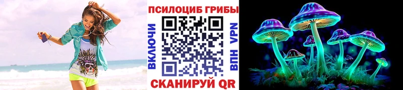 Псилоцибиновые грибы Cubensis  даркнет сайт  Чапаевск 